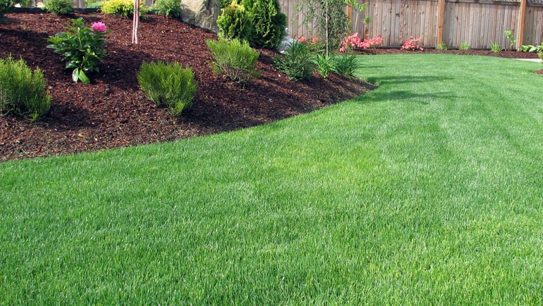 Upper Valley Landscaping - lawn photo